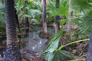 Hot springs