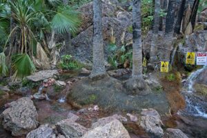 Hot springs